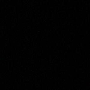 Meet your Posher, Zack